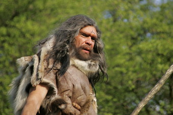 The Neanderthals