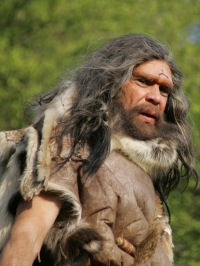 The Neanderthals